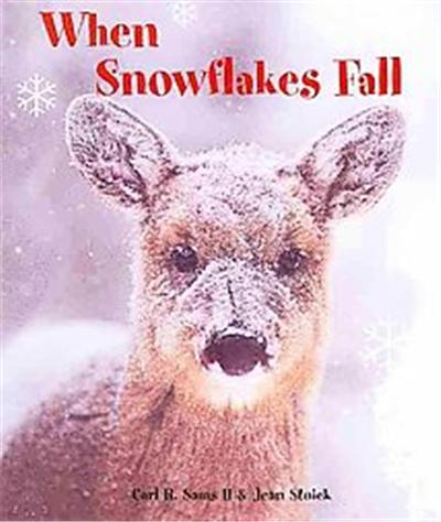 When Snowflakes Fall