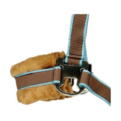 Pfiff 100751-80-pony licol avec fourrure synthétique pour poney (marron bleu clair)