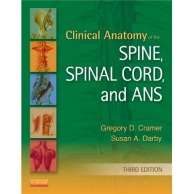Clinical Anatomy Of The Spine Spinal C