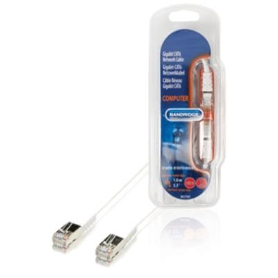 Câble réseau multimédia cat6 1.0 m bandridge