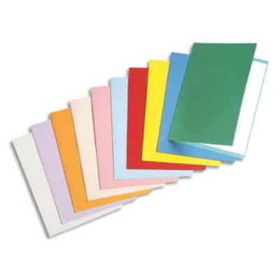 Rainex standard 180 100 chemises 24 x 32 cm assorties 305as