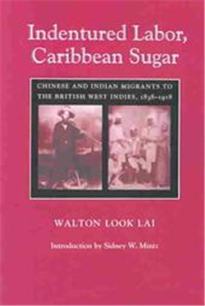 Indentured Labor, Caribbean Sugar, Johns Hopkins Studies in Atlantic History and Culture