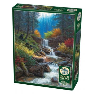Cobble Hill Puzzle Mountain Cascade Cascade 1000 pièces