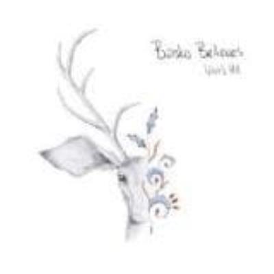 Idiot'S Hill - Basko Believes