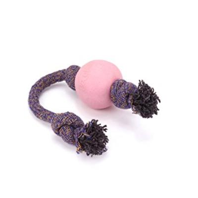 Meilleurs prix pour Becothings Becoball pour Chien avec un Corde Grand Rose