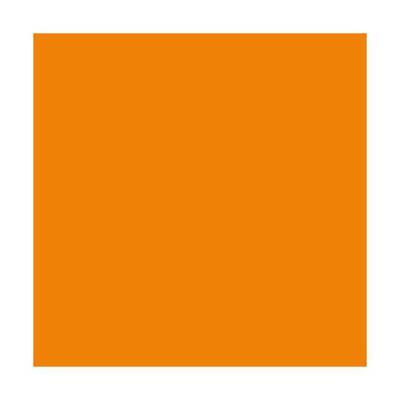 Lot de 5 Ramettes de 500 feuilles papier couleur TROPHEE 80 grammes format A4 orange vif