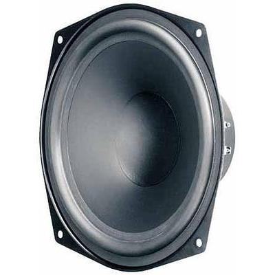 Ws 20 E - 8 Ohm 8 Pollici 20.32 Cm Toni Bassi 30-2500hz 80 W 8 Ω - Visaton