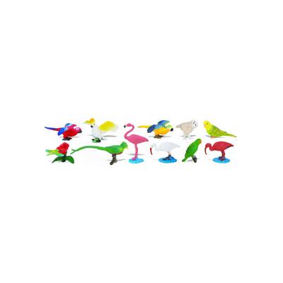 Tubo les oiseaux exotiques