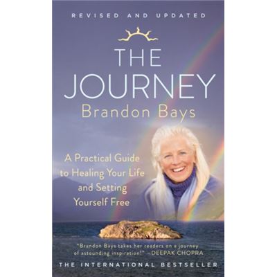 The Journey (Paperback)