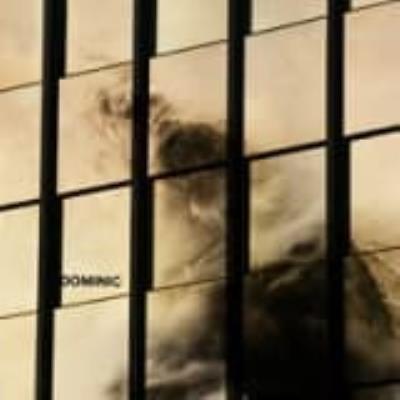 Dominic (10) - Dominic
