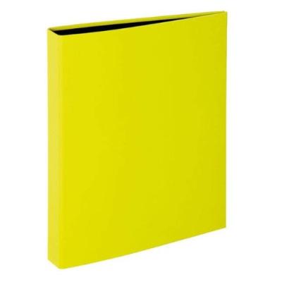 Livre à anneaux a4 2 anneaux 20mm lime pagna 20601-17