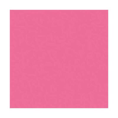 Lot de 5 Ramettes de 500 feuilles papier couleur TROPHEE 80 grammes format A4 rose fuchsia