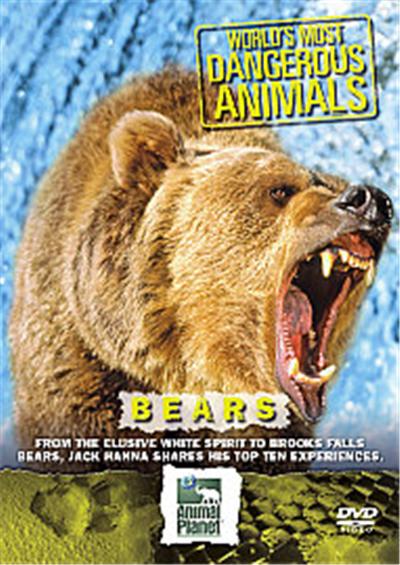 World's Most Dangerous Animals - Bears
