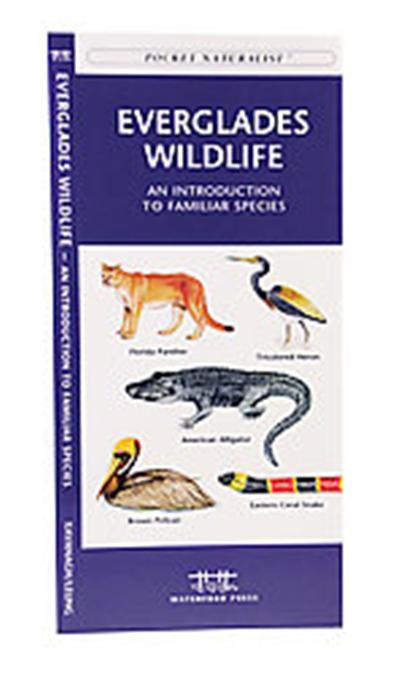 Everglades Wildlife, Pocket Traveller