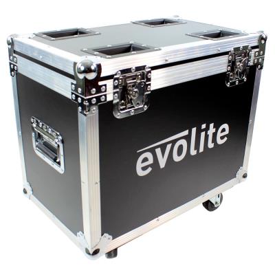 Flight Case Twin 2R