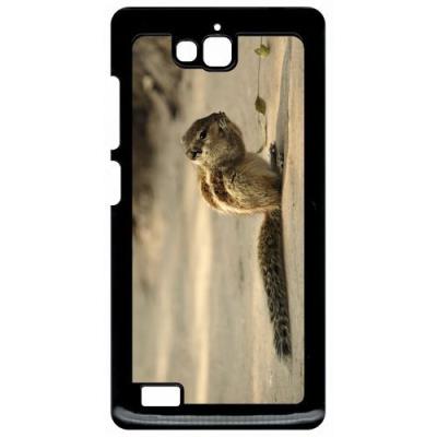 Coque huawei honor 3c et 3c 4g petit ecureuil