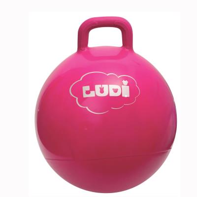 Ballon sauteur 45 cm : rose ludi