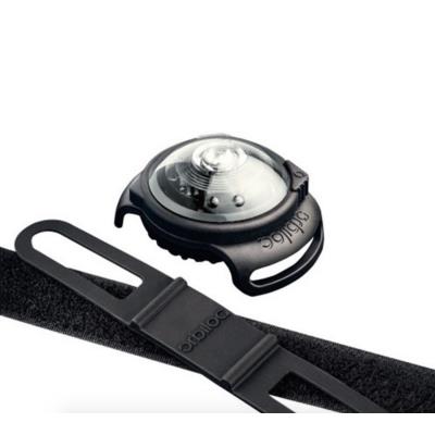 Orbiloc collier lumineux blanc pour chien