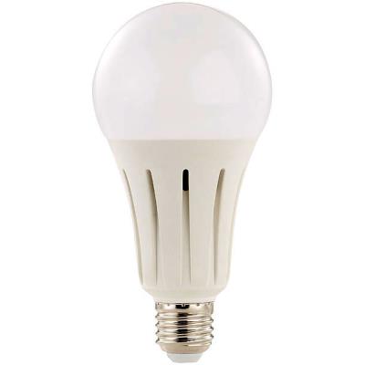 Ampoule LED E27 High Power 24 W / 2452 lm - blanc chaud