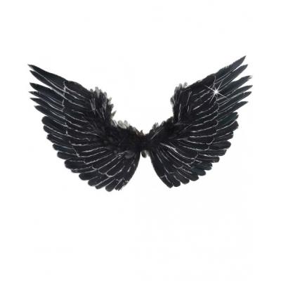 Ailes noires à plumes