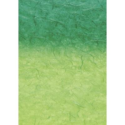 Baier schneider japon &faserpapier strohseide dégradé arc-en-ciel - 25 g m - 1500 x 700 mm baier & schneider 204755672