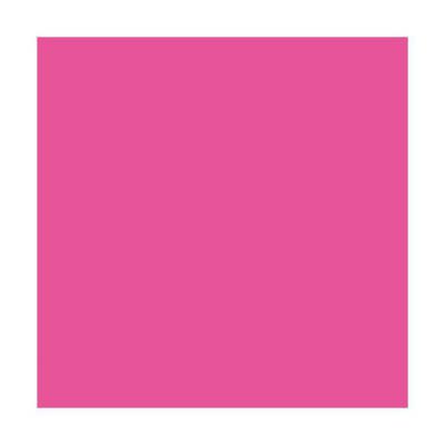Ramette de 500 feuilles papier couleur TROPHEE 80 grammes format A3 rose fuchsia