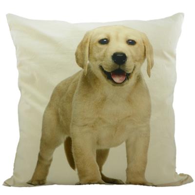Coussin en toile Chiot labrador fauve 50 x 50 cm