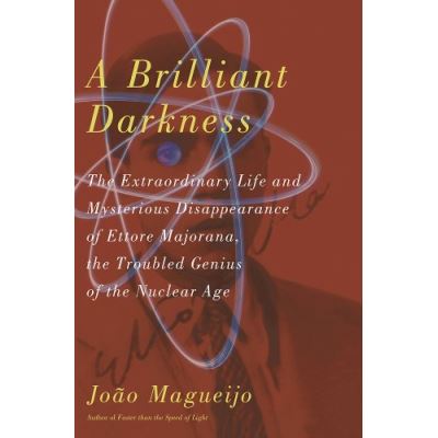 A Brilliant Darkness