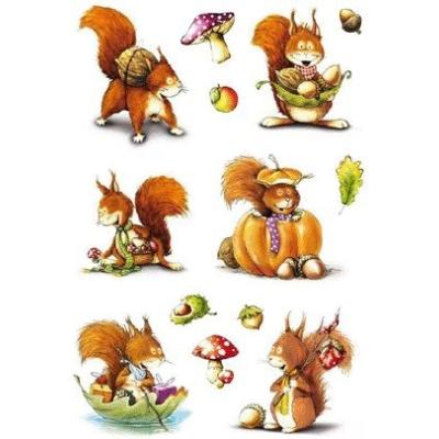 Sticker eichhörnchen herma 3368