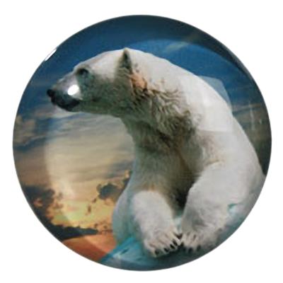Petit magnet en verre rond Ours Blanc