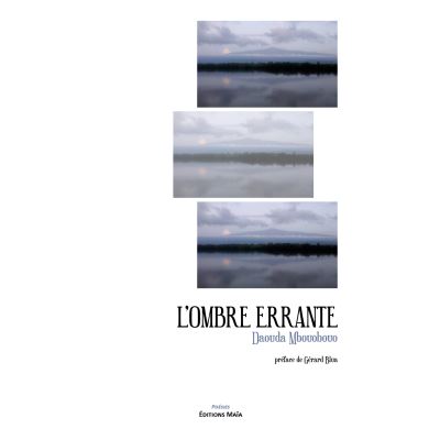 L'Ombre errante