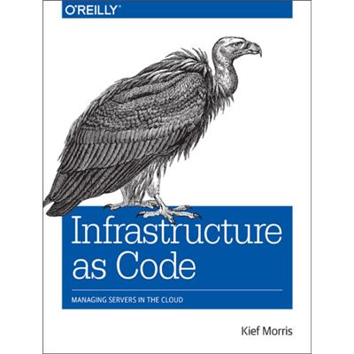 Infrastructure As Code: Managing Servers In The Cloud (Paperback)