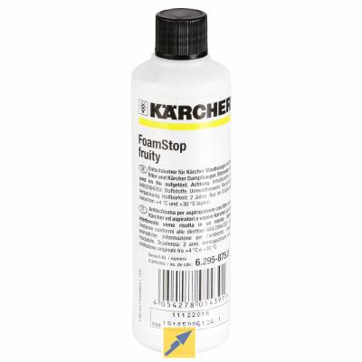 Karcher Cartouche Filtrante pour Nettoyeur Vapeur Sc3 Kärcher