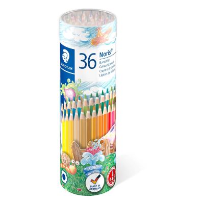 Crayons de couleur tube métal Staedtler Multicolore