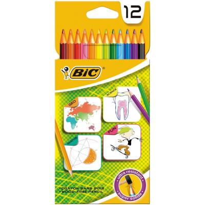 12 crayons de Couleur BIC FOR SCHOOL