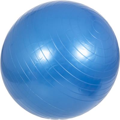 Swiss ball - Ballon de gym 55cm bleu