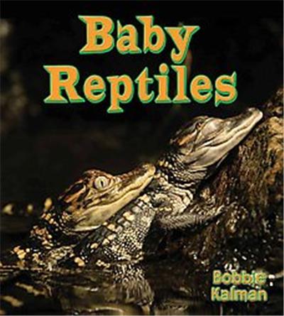 Baby Reptiles, It's Fun to Learn About Baby Animals