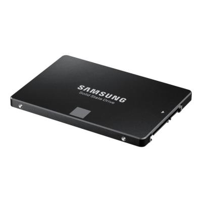 Samsung 850 EVO MZ-75E250 - solid state drive - 250 GB - SATA 6Gb/s