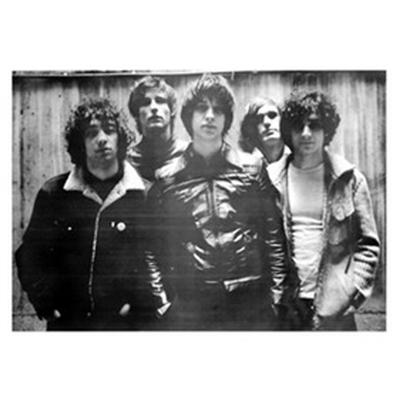 Strokes - Poster en 61 cm x 91,5 cm