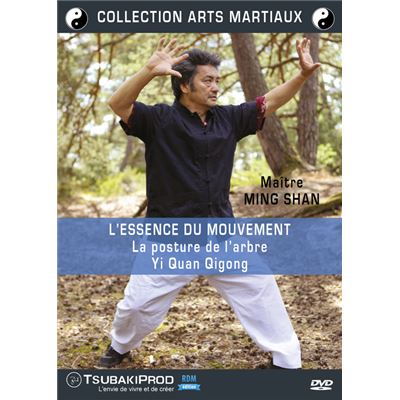 Maître Ming Shan : L'essence du mouvement (La posture de l'arbre - Yi Quan Qigong)