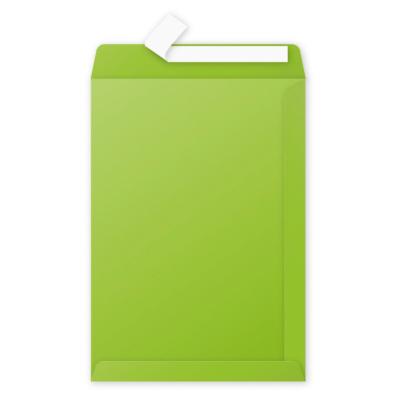 Pollen Pochette 229x324 menthe Pqt de 200