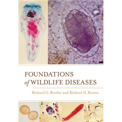 Foundations Of Wildlife Diseases (Hardcover)