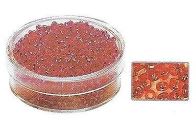 Rocailles 2mm avec garniture argent - Orange