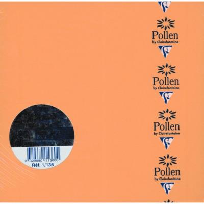 Paquet de 25 cartes simples Pollen 160x160mm Clémentine 210g
