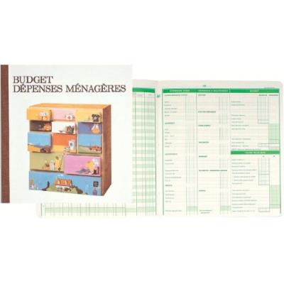Piqûre Exacompta Budget Dépenses Ménagères 27X25Cm 56P