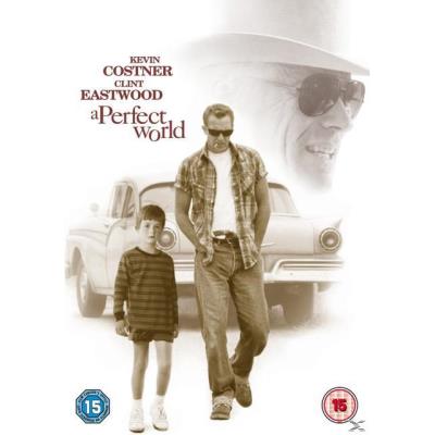 Perfect World, A
