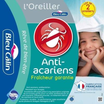 BLEU CALIN Lot de 2 oreillers AEGIS 45x70cm