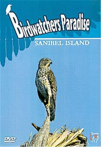 Birdwatchers Paradise - Sanibel Island
