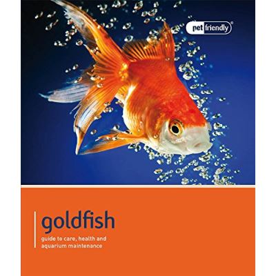 Goldfish - Pet Friendly: Understanding and Caring for Your Pet