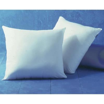 BLEU CALIN Lot de 2 oreillers AEGIS 60x60cm